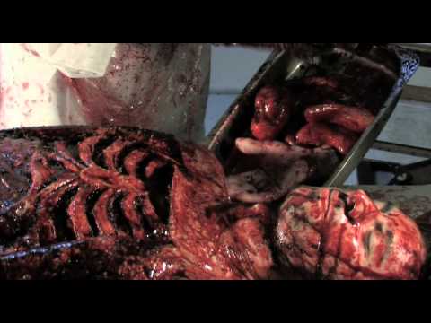 Open 24/7 U.S. Trailer