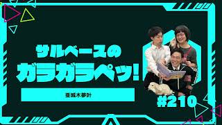 「亜城木夢叶」サルベースのガラガラペッ#210 