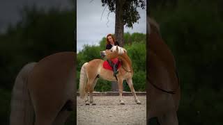 Pad Grandeur Alcantara Microvlákno