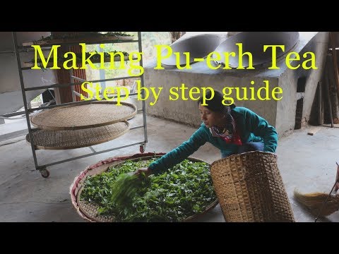 Pu-erh Tea Processing