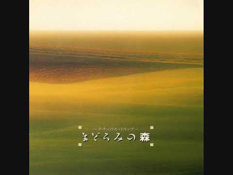 磯田健一郎 [Kenichiro Isoda] - 森に住む人