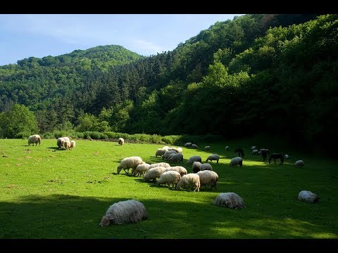 ZAHNHAUSEN - PASTORAL