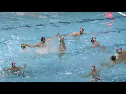 Olympiacos vs Radnicki - Highlights - Champion's League 2021/2022 Day 7