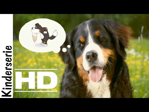 Löwenzähnchen|Keks und der lange Bart|Full HD|