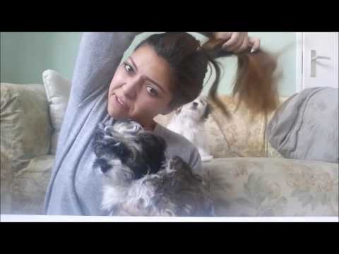 Roya is puppysitting!