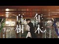 張敬軒 Hins Cheung《百年樹木》[Official MV]