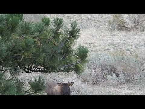 New Mexico GMU Unit 6A Hunting Information