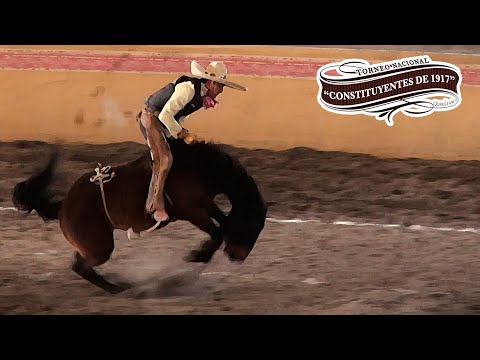 Mare Riding on February 19 - 1917 Constituyentes Tournament, Arroyo Negro 2022