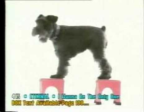 Melissa Indot 'Window' MTV