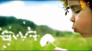 Skyclad - It Wasn't Meant to End this Way (slideshow & on screen lyrics)