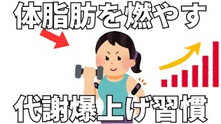 体脂肪を燃やす 代謝爆上げ習慣20選