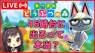 ジャック16時台に出るって本当？住民ガチャ