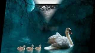 AMAURY VASSILI ET DOMINIQUE MAGLOIRE   LE LAC DES CYGNES  SWAN LAKE