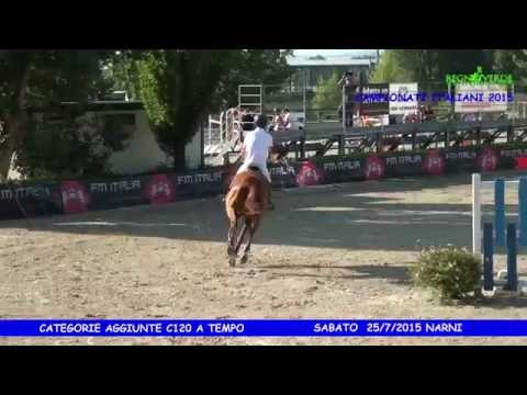 Centro Ippico Regno Verde 25/07/2015 Quater D.C 4° classificata C120 a tempo tab.A  0 penalità