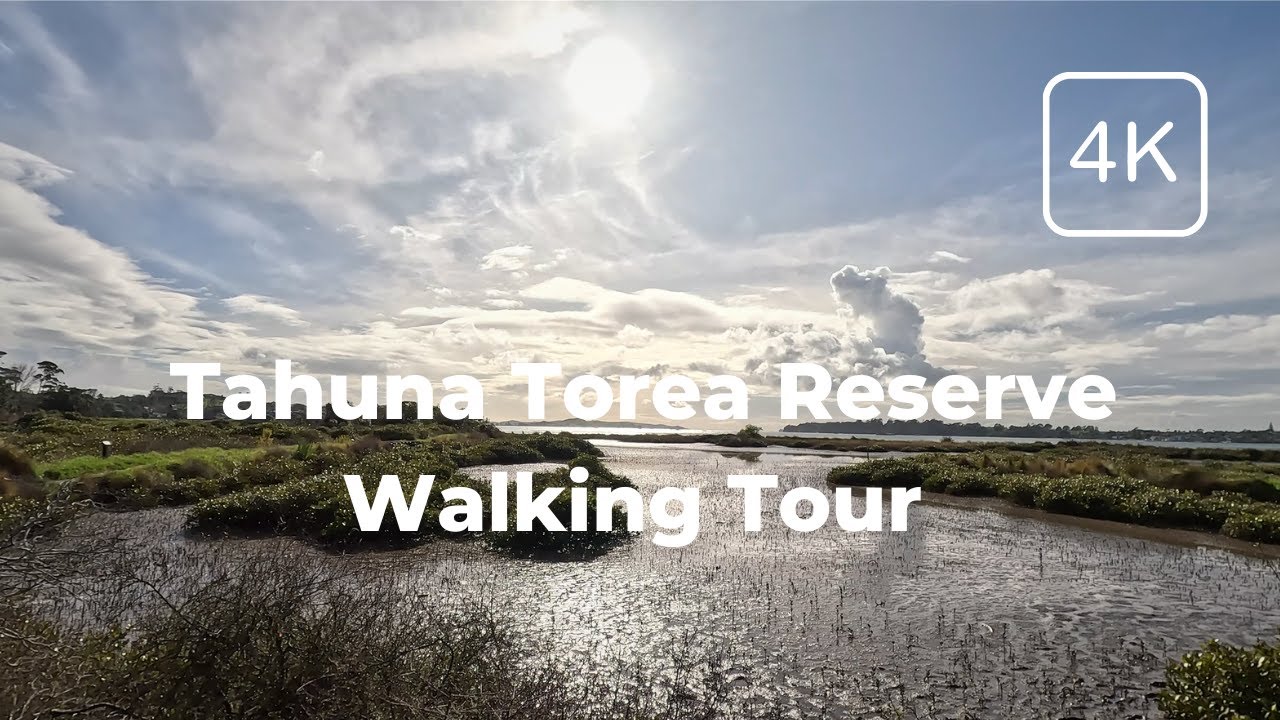 Immerse yourself in a walking tour through Tahuna Torea Nature Reserve.