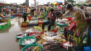 Amazing Site Distributes SeaFood & Fish @Chhbar Ampov - Morning Fish Market Scene Show
