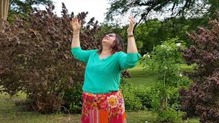 Extravagant - Meredith Andrews- (Cover)- Alisha Mayrhoo