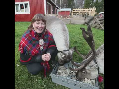 4 Lokala Nyheter Norrbotten   Nu minglar blöjrenarna i Överkalix med tiktokare – och fotade av Vogue