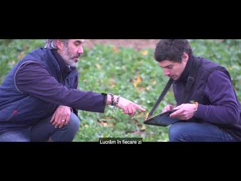 Rapita DEKALB - un parteneriat de succes.