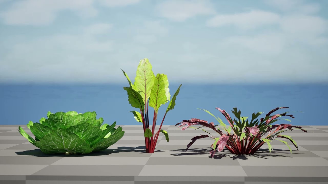 Leafy Green Plants Collection 3D Model