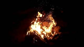 Slow Motion Video Of Bonfire · Free Stock Video