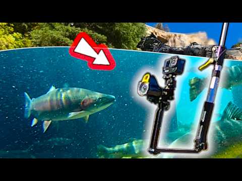 Wie ich 2026 unter Wasser filme