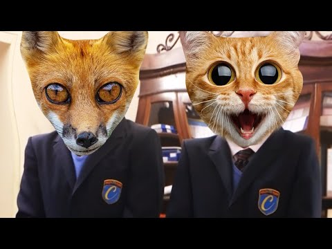 "Il Gatto e la Volpe... chi sono?" - Il Collegio 5 YTP ITA