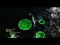 Vidéo de gameplay de Call of Duty: Modern Warfare 2  PC