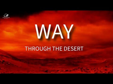 Witness21  2024 11 16