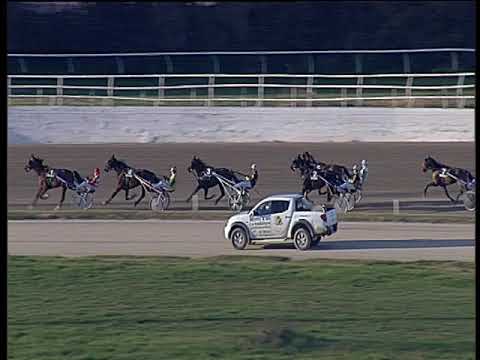 Trotto 21/12/2018 - 1ª corsa