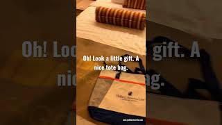 Cabin Tour - Solo Cabin, HAL Zaandam, Grand Africa Cruise October 2022