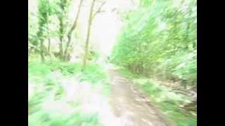 preview picture of video 'Down Hill mountain biking in the south downs uk'