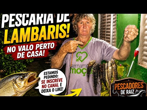 🎣 Fui Pescar Lambaris... Mas Eles Me Fizeram um Pedido! 😂 | Santo Antônio da Patrulha-RS