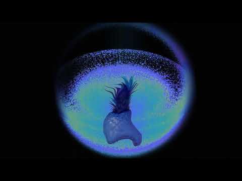 Pineapple Express Records and Pierre C