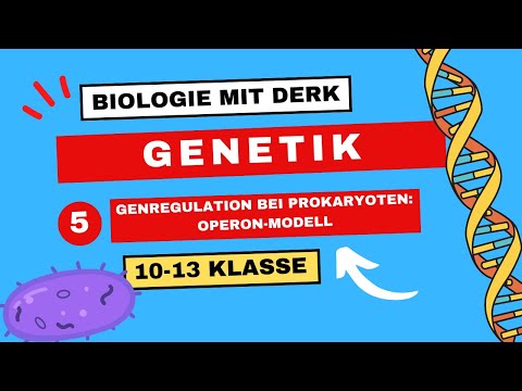 Genetik | 5 | Genregulation bei Prokaryoten: Operon-Modell | 10 - 13 Klasse