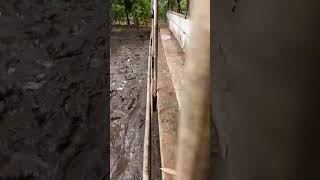 Download lagu KO''BAN IKAN MATI SEMUA SAMPAI DIKURAS mp3 Download lagu KO''BAN IKAN MATI SEMUA SAMPAI DIKURAS mp3