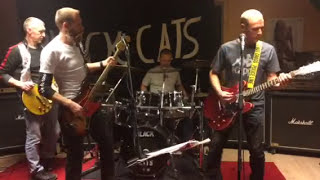 Black Cats Don’t let your chance go by