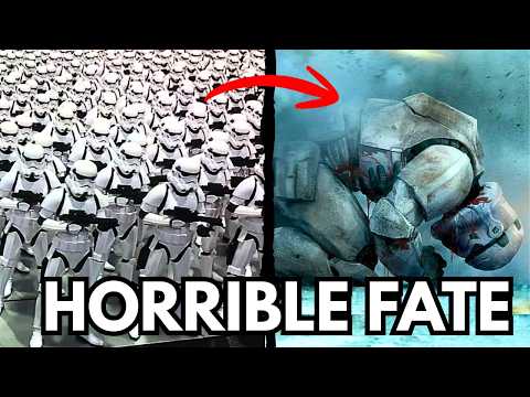 What happened to the Millions of Stormtroopers after the Fall of the Empire?!