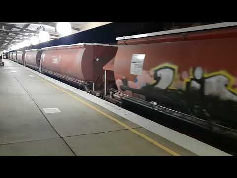 Empty SSR wheat Train