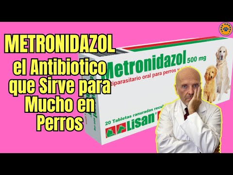 💝 METRONIDAZOLE FOR DOGS: WHAT IS IT FOR AND AT WHAT DOSE IS IT GIVEN? 💝