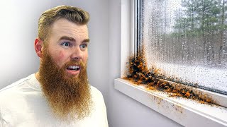 This Hidden Problem Almost Ruined Our Tiny Home