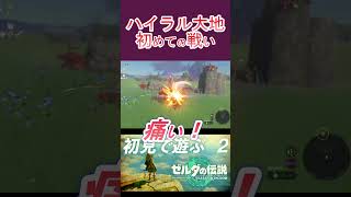 【ティアキン】ハイラル平原一発目の戦闘は華麗に決めていきたい実況者の記録 #shorts