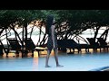 Intimacy Love Lost Lonely Smooch Ll Vine 147 Ll 69 Opposites Attract