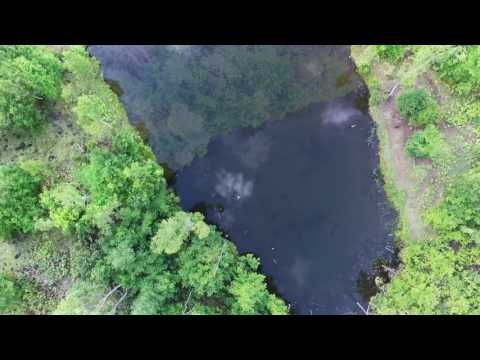 水を楽しむ • まいめの池 | Water • Maime Pond