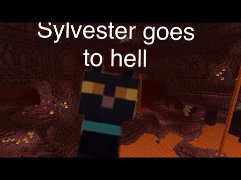 Talking kitty cat in Minecraft-sylvesters diary 7 Sylvester goes to hell
