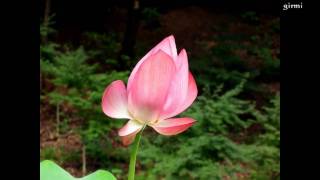 Il mondo che vorrei-The world I would want- Laura Pausini