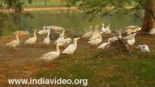 Parks around National Memorials, New Delhi, India