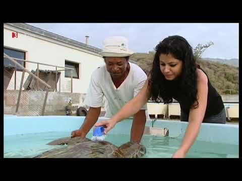 La Reunion - Naturwunder im Indischen Ozean