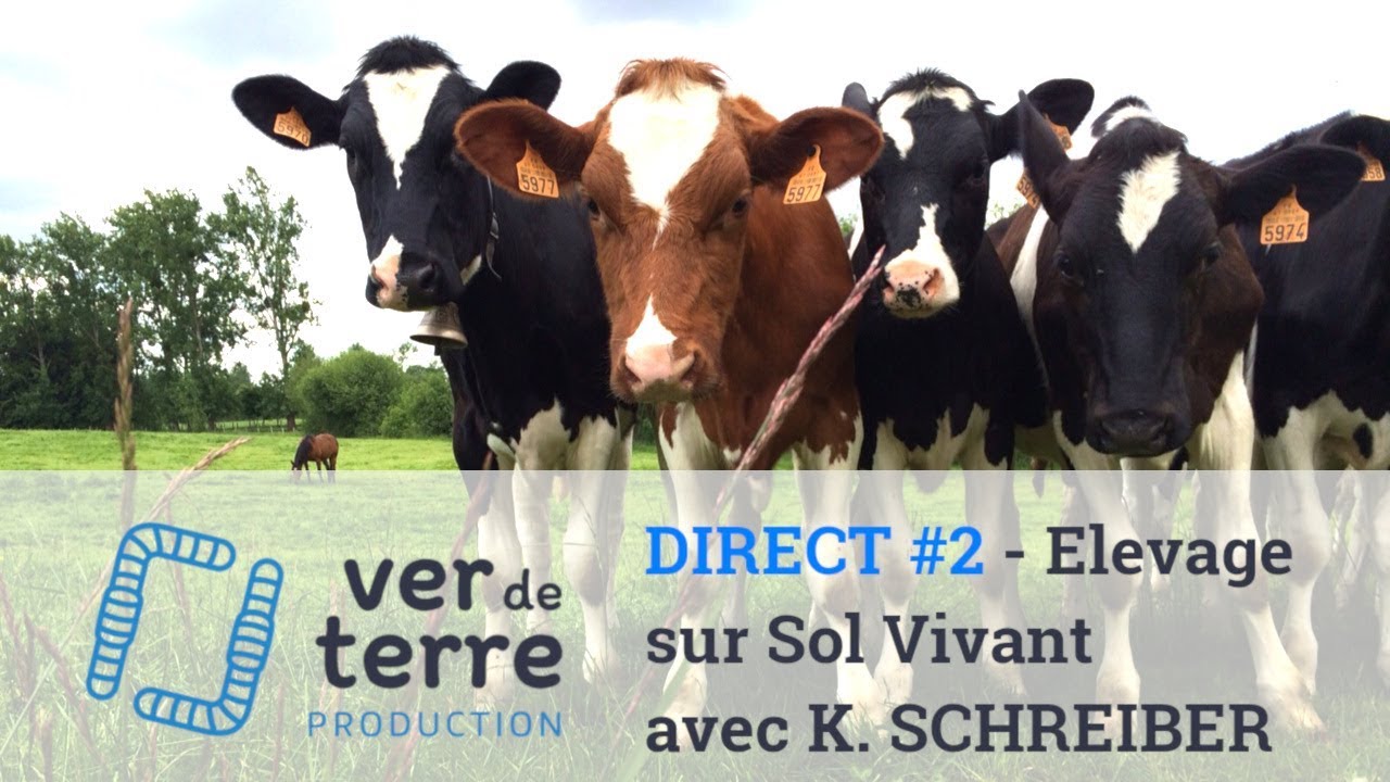 DIRECT #2 - Productivité, rentabilité et carbone - Konrad SCHREIBER