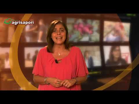 Fenestrelle (TO) Tra cane e lupo - Granozzo con Monticello (NO) campi varietali riso